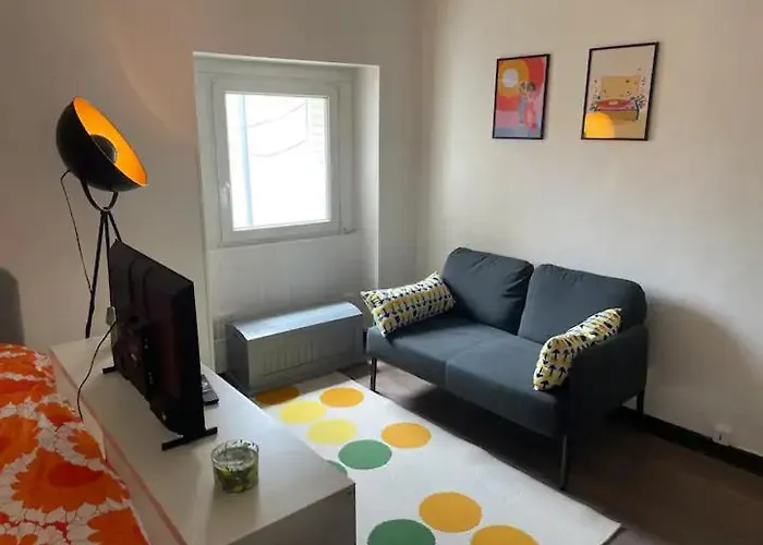Studio Proche Fac Et Centre Ville