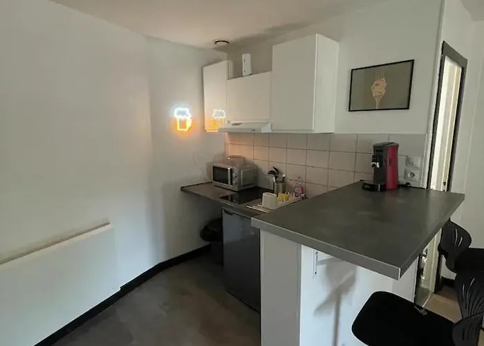 Studio Proche Fac Et Centre Ville