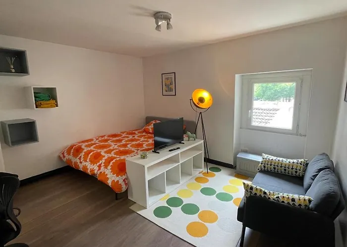 Studio Proche Fac Et Centre Ville